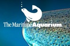 The Maritime Aquariu